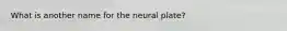 What is another name for the neural plate?