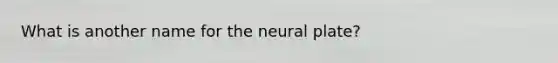 What is another name for the neural plate?