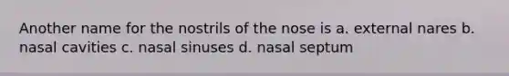 Another name for the nostrils of the nose is a. external nares b. nasal cavities c. nasal sinuses d. nasal septum