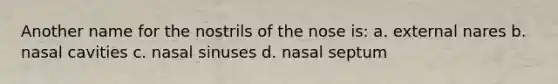 Another name for the nostrils of the nose is: a. external nares b. nasal cavities c. nasal sinuses d. nasal septum