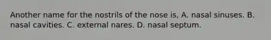 Another name for the nostrils of the nose is, A. nasal sinuses. B. nasal cavities. C. external nares. D. nasal septum.