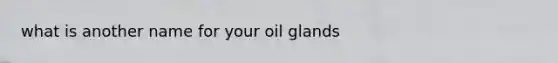 what is another name for your oil glands