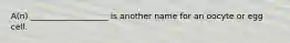 A(n) ___________________ is another name for an oocyte or egg cell.