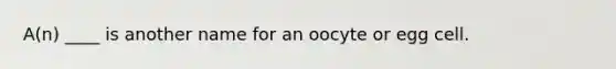 A(n) ____ is another name for an oocyte or egg cell.