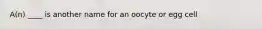 A(n) ____ is another name for an oocyte or egg cell