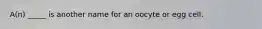 A(n) _____ is another name for an oocyte or egg cell.