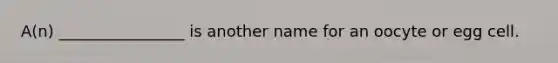 A(n) ________________ is another name for an oocyte or egg cell.