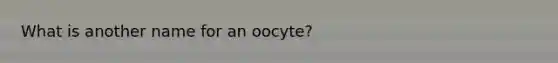 What is another name for an oocyte?