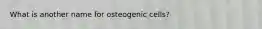 What is another name for osteogenic cells?