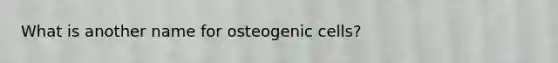 What is another name for osteogenic cells?