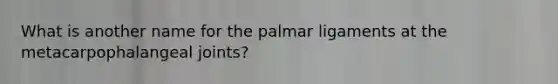 What is another name for the palmar ligaments at the metacarpophalangeal joints?