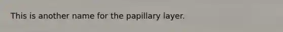 This is another name for the papillary layer.