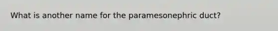 What is another name for the paramesonephric duct?