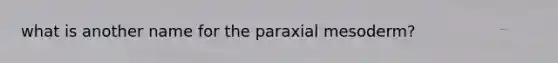 what is another name for the paraxial mesoderm?