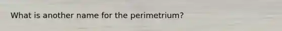 What is another name for the perimetrium?