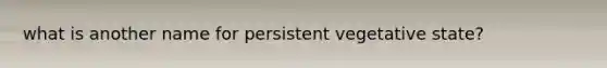 what is another name for persistent vegetative state?