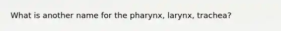 What is another name for the pharynx, larynx, trachea?