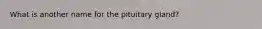 What is another name for the pituitary gland?