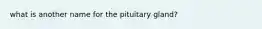 what is another name for the pituitary gland?