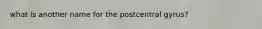 what is another name for the postcentral gyrus?