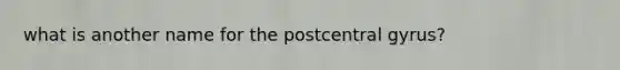 what is another name for the postcentral gyrus?