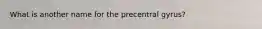 What is another name for the precentral gyrus?