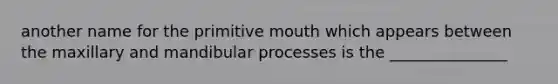 another name for the primitive mouth which appears between the maxillary and mandibular processes is the _______________