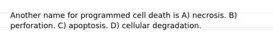 Another name for programmed cell death is A) necrosis. B) perforation. C) apoptosis. D) cellular degradation.