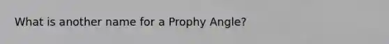 What is another name for a Prophy Angle?