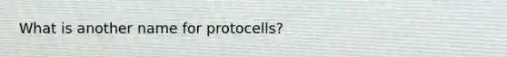 What is another name for protocells?