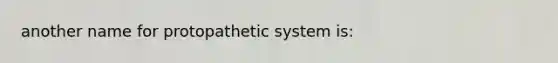 another name for protopathetic system is: