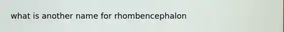 what is another name for rhombencephalon