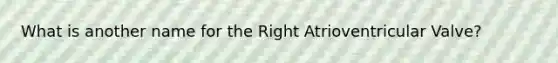 What is another name for the Right Atrioventricular Valve?