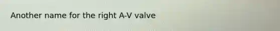 Another name for the right A-V valve