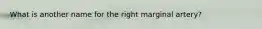 What is another name for the right marginal artery?