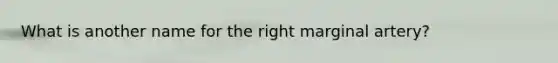 What is another name for the right marginal artery?
