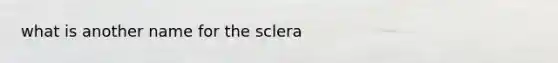 what is another name for the sclera