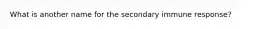 What is another name for the secondary immune response?