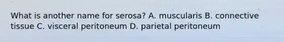 What is another name for serosa? A. muscularis B. connective tissue C. visceral peritoneum D. parietal peritoneum