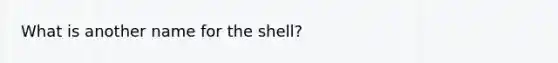 What is another name for the shell?