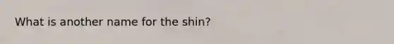 What is another name for the shin?