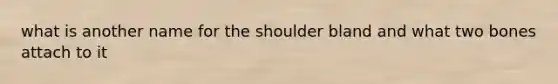 what is another name for the shoulder bland and what two bones attach to it