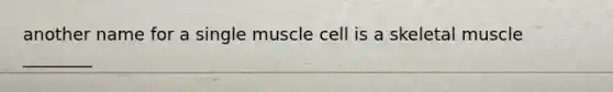 another name for a single muscle cell is a skeletal muscle ________