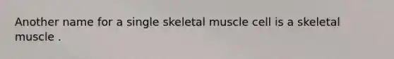 Another name for a single skeletal muscle cell is a skeletal muscle .