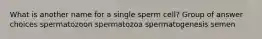 What is another name for a single sperm cell? Group of answer choices spermatozoon spermatozoa spermatogenesis semen