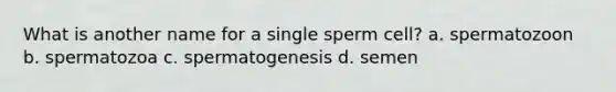 What is another name for a single sperm cell? a. spermatozoon b. spermatozoa c. spermatogenesis d. semen