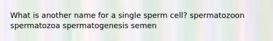 What is another name for a single sperm cell? spermatozoon spermatozoa spermatogenesis semen