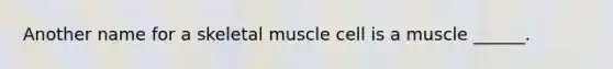 Another name for a skeletal muscle cell is a muscle ______.