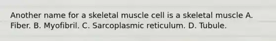 Another name for a skeletal muscle cell is a skeletal muscle A. Fiber. B. Myofibril. C. Sarcoplasmic reticulum. D. Tubule.