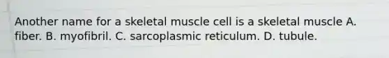 Another name for a skeletal muscle cell is a skeletal muscle A. fiber. B. myofibril. C. sarcoplasmic reticulum. D. tubule.